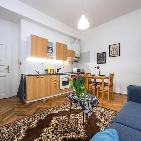 Apartment Tynska Ulicka *